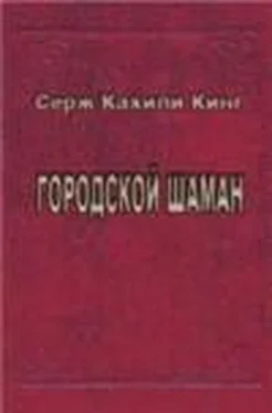 Серж Кинг Городской шаман обложка книги