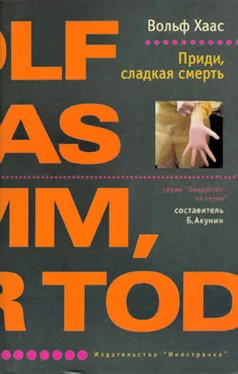 Вольф Хаас Приди, сладкая смерть обложка книги