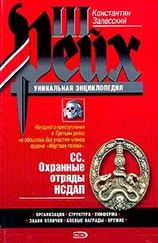 Константин Залесский - СС. Охранные отряды НСДАП