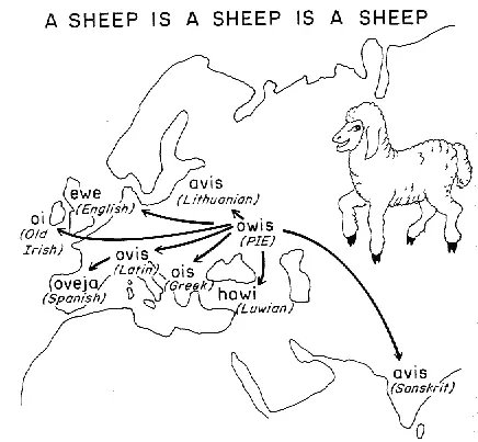 In many modern IndoEuropean languages as well as in some ancient ones that we - фото 7