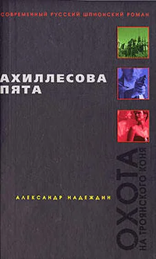 Александр Надеждин Ахиллесова пята обложка книги