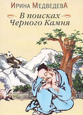 Ирина Медведева В поисках Черного Камня обложка книги