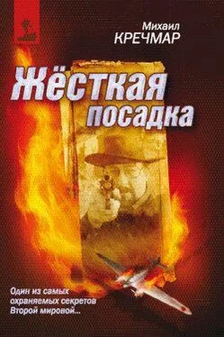 Михаил Кречмар Жесткая посадка обложка книги