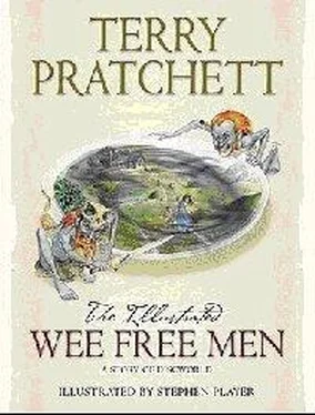 Терри Пратчетт Вольный народец обложка книги