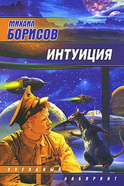 Михаил Борисов Интуиция (сборник) обложка книги