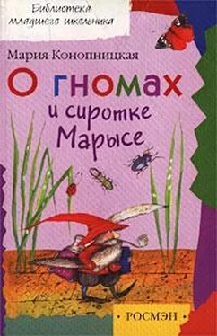 Мария Конопницкая О гномах и сиротке Марысе обложка книги