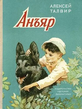 Алексей Талвир Анъяр обложка книги