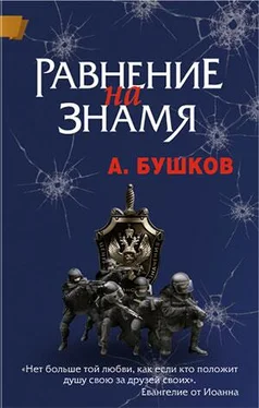 Александр Бушков Равнение на знамя обложка книги