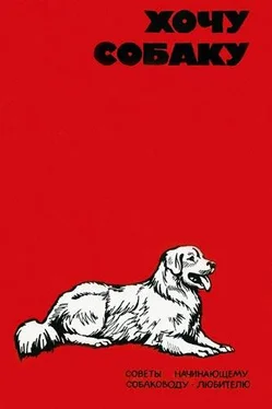 В. Шестаков Хочу собаку. Советы начинающему собаководу-любителю (Сборник) обложка книги