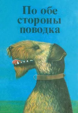 Эрнест Сетон-Томпсон Снап (История бультерьера) обложка книги