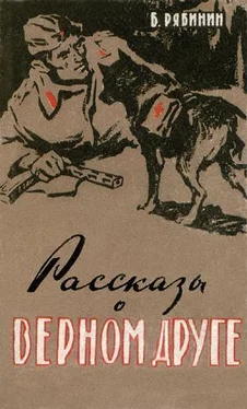 Борис Рябинин Рассказы о верном друге обложка книги