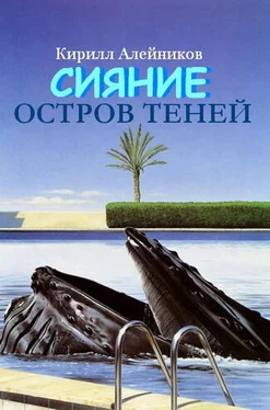 Кирилл Алейников Сияние. Остров теней обложка книги