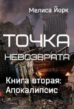 Мелиса Йорк Апокалипсис (СИ) обложка книги