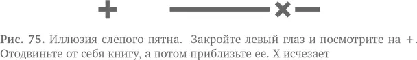 Итак даже если ничего нет мозг ищет знакомые и ожидаемые шаблоны И при их - фото 83