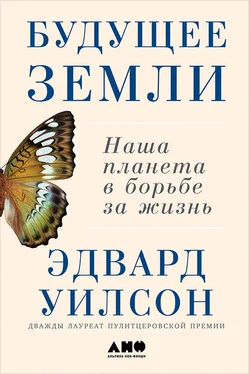 Эдвард Уилсон Будущее Земли: Наша планета в борьбе за жизнь обложка книги