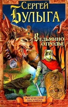 Булыга Сергей Ведьмино отродье обложка книги