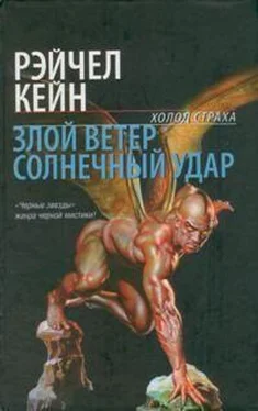 Рэйчел Кейн Солнечный удар обложка книги