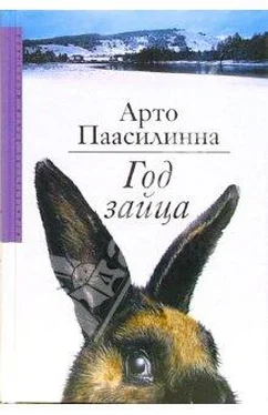 Арто Паасилинна Год зайца обложка книги