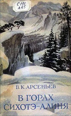 Владимир Арсеньев В горах Сихотэ-Алиня обложка книги