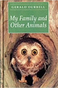 Gerald Durrell My family and other animals обложка книги