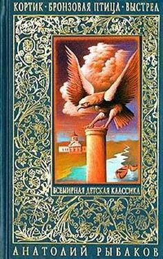 Анатолий Рыбаков Бронзовая птица обложка книги