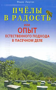 Федор Лазутин Пчелы в радость, или Опыт естественного подхода в пасечном деле обложка книги