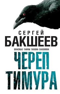 Сергей Бакшеев Череп Тимура обложка книги