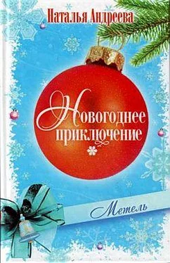 Наталья Андреева Метель обложка книги