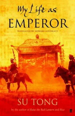 Су Тун Последний император обложка книги