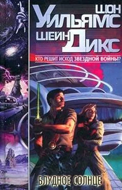 Шон Уильямс Блудное Солнце обложка книги