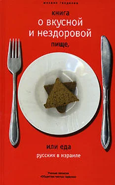 Михаил Генделев Книга о вкусной и нездоровой пище или еда русских в Израиле обложка книги