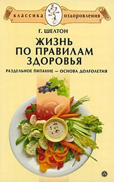 Герберт Шелтон Жизнь по правилам здоровья. Раздельное питание – основа долголетия обложка книги