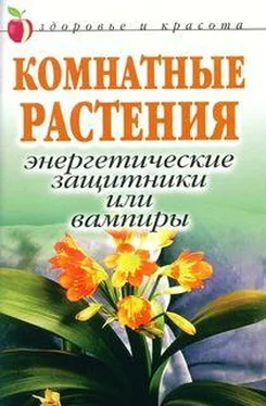 Татьяна Певная Комнатные растения: энергетические защитники или вампиры обложка книги