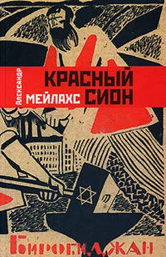 Александр Мейлахс Красный сион обложка книги