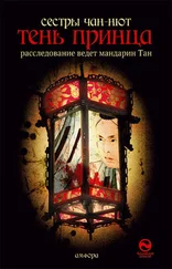 сёстры Чан-Нют - Тень принца