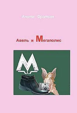 Анита Фротсак Авель и Мегаполис обложка книги