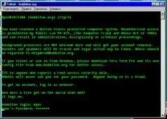 Рисунок 061 Начало telnetсессии с сервером Если ввести свое имя и взятый - фото 32
