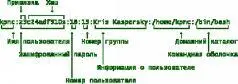 Устройство файла etcpasswd Шифрование паролей происходит следующим образом - фото 34