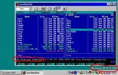 Так выглядит Midnight Commander запушенный на эмуляторе UNIX в среде Windows - фото 8
