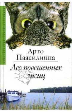 Арто Паасилинна Лес повешенных лисиц обложка книги