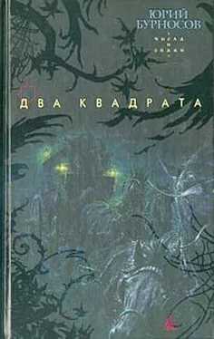 Юрий Бурносов Два квадрата обложка книги