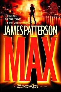 James Patterson Max обложка книги