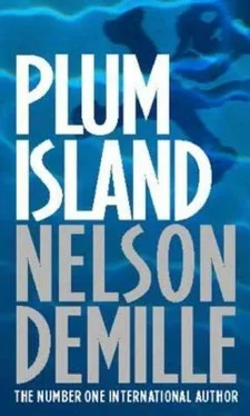 Nelson DeMille Plum Island обложка книги