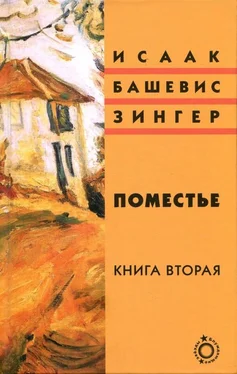 Исаак Башевис-Зингер Поместье. Книга II