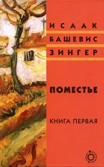 Исаак Башевис-Зингер - Поместье. Книга I