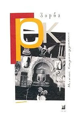 Никос Казандзакис Я, грек Зорба обложка книги