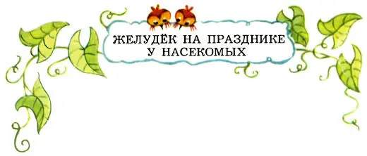 Пока человечек искал себе наряд он забрёл далеко от праздничной поляны и - фото 16