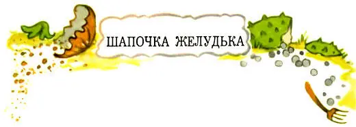 Вымытый дождём Желудёк вышел из рябиновой рощи и зашагал по полянке Что на ней - фото 19