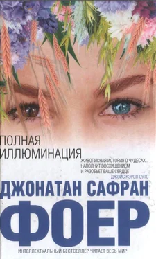 Джонатан Фоер Полная иллюминация обложка книги