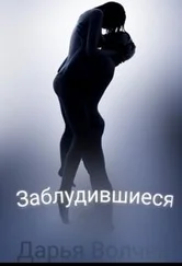 Дарья Волчек - Заблудившиеся